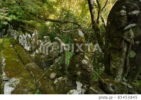 並ぶ地蔵と自然な山 85453845
