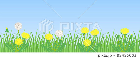 青空とタンポポのおしゃれなイラスト 85455003