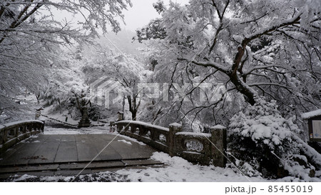 雪の日吉大社　大宮橋 85455019