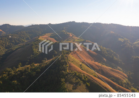 Aerial top view of forest trees and green mountain hills. Nature landscape background, Thailand. 85455143