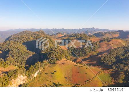 Aerial top view of forest trees and green mountain hills. Nature landscape background, Thailand. 85455144