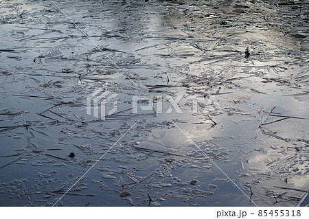 氷点下の朝　池に現れた氷の芸術氷結 85455318