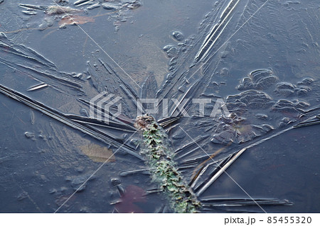 氷点下の朝　池に現れた氷の芸術氷結 85455320