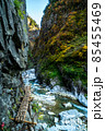 黒部峡谷下ノ廊下の登山道 85455469