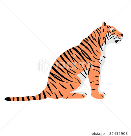Vector flat sitting tiger Vector flat sitting tiger 85455908