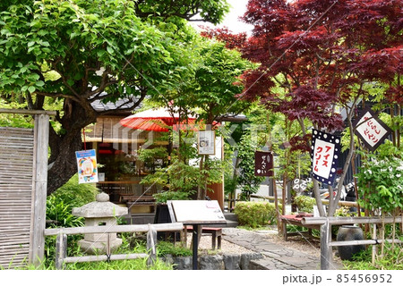 鎌倉市（北鎌倉）　茶房花鈴の庭と新緑 85456952