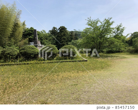 《月山富田城　タンポポモドキ（ブタナ）が群生する奥書院にある広瀬町戦没者慰霊塔》（島根県　安来市） 85457150