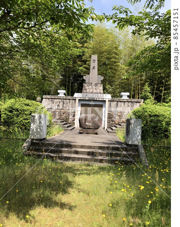 《月山富田城 タンポポモドキ(ブタナ)が群生する奥書院にある広瀬町戦没者慰霊塔》(島根県 安来市) 《月山富田城 タンポポモドキ(ブタナ)が群生する奥書院にある広瀬町戦没者慰霊塔》(島根県 安来市) 85457151