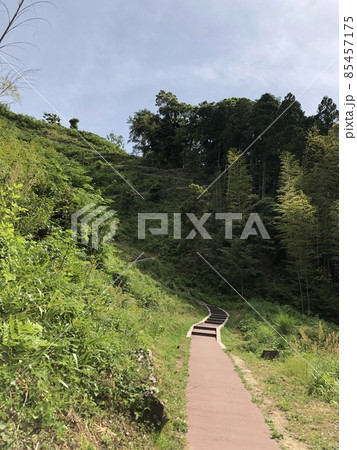 《月山富田城 七曲がりの登山道》(島根県 安来市) 《月山富田城 七曲がりの登山道》(島根県 安来市) 85457175