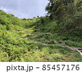 《月山富田城　七曲がりの登山道》（島根県　安来市） 85457176