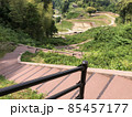 《月山富田城　七曲がりの登山道》（島根県　安来市） 85457177