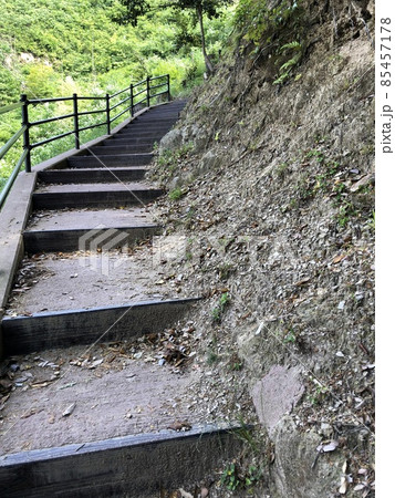《月山富田城 七曲がりの登山道》(島根県 安来市) 《月山富田城 七曲がりの登山道》(島根県 安来市) 85457178