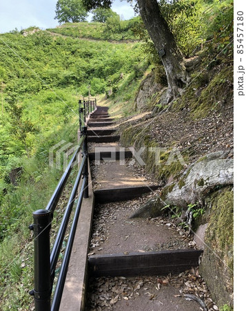 《月山富田城 七曲がりの登山道》(島根県 安来市) 《月山富田城 七曲がりの登山道》(島根県 安来市) 85457180