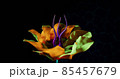 Alien Rainbow Flowers Close View 3D Render 85457679