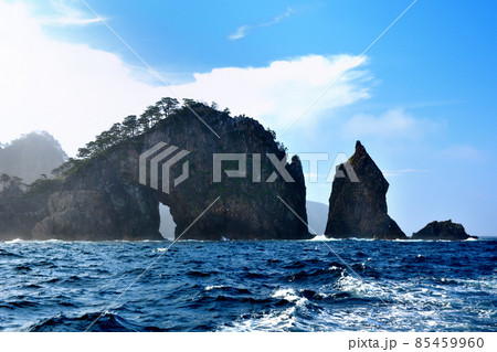 北山崎断崖クルーズ・矢越崎(矢越岬)の象徴、先端の海蝕洞とローソク岩・東北・岩手県・田野畑村(4) 北山崎断崖クルーズ・矢越崎(矢越岬)の象徴、先端の海蝕洞とローソク岩・東北・岩手県・田野畑村(4) 85459960