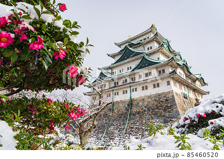 雪の名古屋城〈愛知県名古屋市〉 85460520