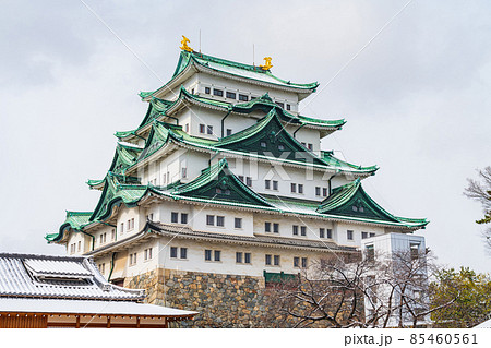 雪の名古屋城〈愛知県名古屋市〉 85460561