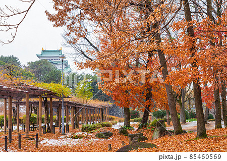 名城公園、雪の名古屋城〈愛知県名古屋市〉 名城公園、雪の名古屋城〈愛知県名古屋市〉 85460569