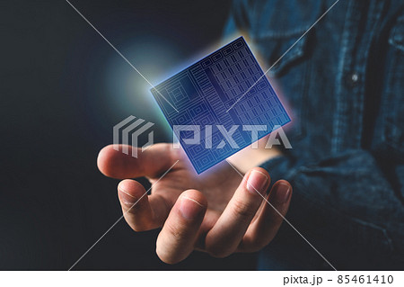 Image photo 85461410