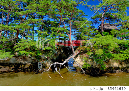 松島のシンボル、五大堂を遊覧船乗り場から眺める・東北・仙台(7) 85461659
