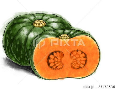 水彩風、南瓜の食材イラスト 水彩風、南瓜の食材イラスト 85463536