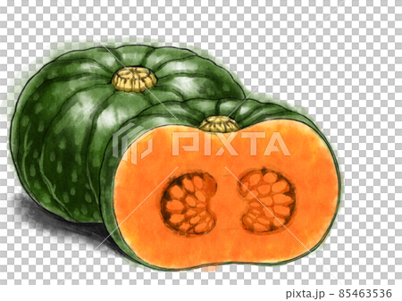 水彩風、南瓜の食材イラスト 水彩風、南瓜の食材イラスト 85463536