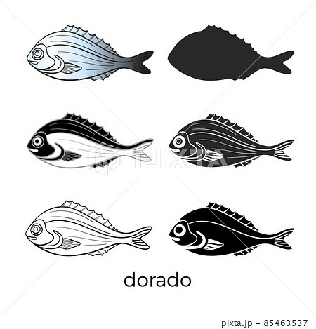 Set of sea fish on white background. Dorado. Vector shape. 85463537