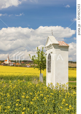 spring landscape near Konice near Znojmo, Czech Republic 85465203