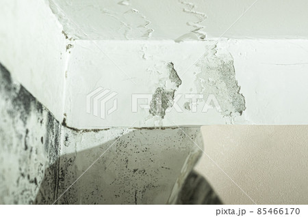 Mold and mildew on the wall in the room. A freezing wall. Dampness on the surface. A leaky ceiling. Selective focus Mold and mildew on the wall in the room. A freezing wall. Dampness on the surface. A leaky ceiling. Selective focus 85466170