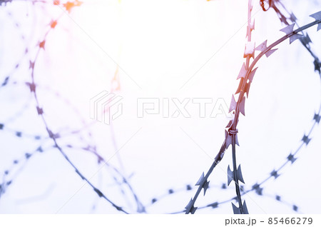 Barbed wire in the snow close-up. Abstraction, selective focus 85466279