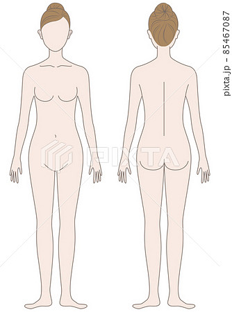女性の身体 85467087