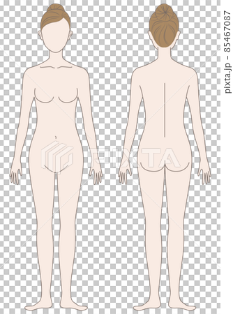 女性の身体 85467087