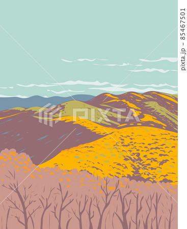 Lamar Alexander Rocky Fork State Park in Blue Ridge Region of Appalachian Mountains Unicoi County Tennessee USA WPA Poster Art 85467501