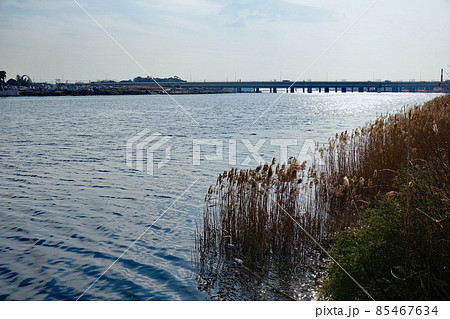 相模川河口 風景 相模川河口 風景 85467634