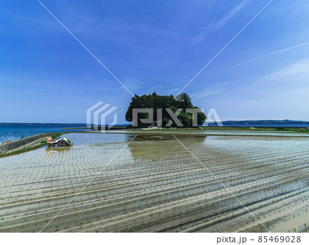 里山里海の田植え作業 里山里海の田植え作業 85469028