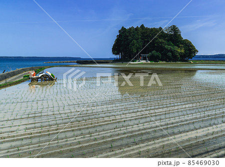 里山里海の田植え風景 里山里海の田植え風景 85469030