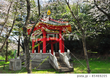 大和市ふれあいの森 台湾亭と満開桜と案内板 大和市ふれあいの森 台湾亭と満開桜と案内板 85469205