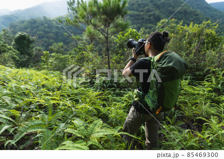 Woman photographer taking pictures in summer mountains Woman photographer taking pictures in summer mountains 85469300