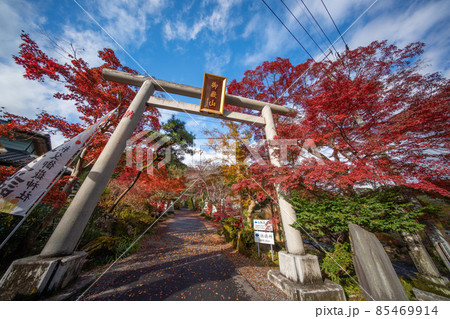紅葉の秩父御嶽神社 85469914