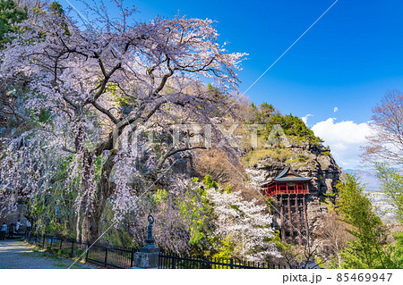 桜咲く釈尊寺布引観音 桜咲く釈尊寺布引観音 85469947