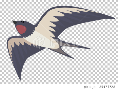 飛ぶツバメのイラスト 85471728