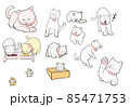 猫大集合 85471753