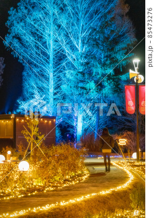 茨城県石岡市　茨城県フラワーパークのイルミネーションと娘 85473276