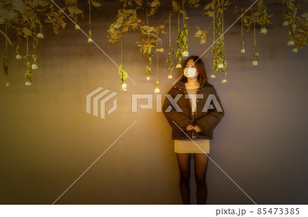 茨城県石岡市　茨城県フラワーパークのイルミネーションと娘 85473385