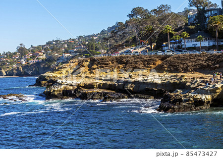 A very beautiful landscape in San Diego. A very beautiful landscape in San Diego. 85473427