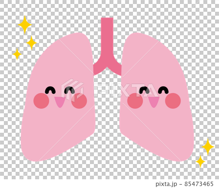 Lung character smile 85473465