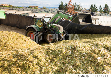 Agricultural machinery preparing fodder Agricultural machinery preparing fodder 85473543