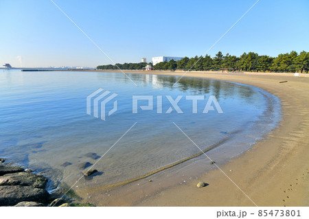 城南島海浜公園／つばさ浜 (東京都大田区)【2021.12】 85473801
