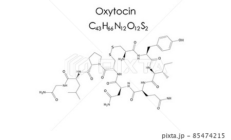 オキシトシンの化学式（化学） 85474215