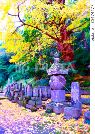 鎌倉の古寺、日蓮宗の本山の妙本寺の境内にたたずむ比企一族の供養塔 85474477